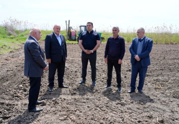 Ağcabədi rayonunda çiyid səpini işlərinə start verildi.