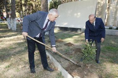 Ağcabədidə 8 Noyabr - Zəfər günü təntənə ilə qeyd olundu