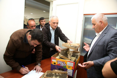 Ağcabədidə barama tədarükünə start verildi