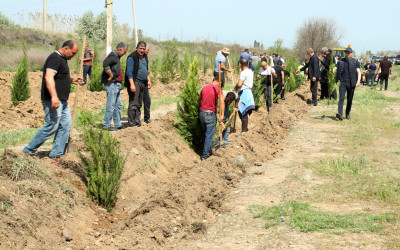 “Konstitusiya və Suverenlik İli” çərçivəsində Ağcabədidə növbəti ağacəkmə aksiyası keçirilib