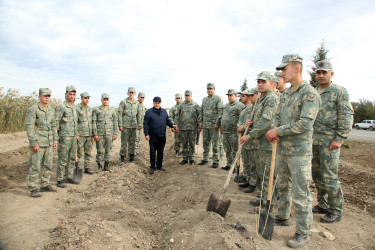 “Yaşıl dünya naminə həmrəylik ili” çəçivəsində minlərlə yeni ağac əkilib.