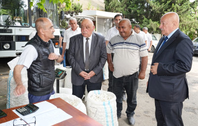 Ağcabədi rayonunda 2026-cı il barama təhvilvermə mövsümünə start verilib