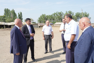 Ağcabədidə heyvandarlıq təsərrüfatına baxış keçirilib