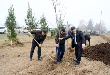 Ağcabədidə “Şəhərsalma və Memarlıq İli” çərçivəsində ağacəkmə aksiyası keçirilib.