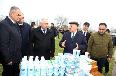 Ağcabədidə Novruz bayramı münasibətilə kənd təsərrüfatı məhsullarının satış yarmarkası təşkil olunub