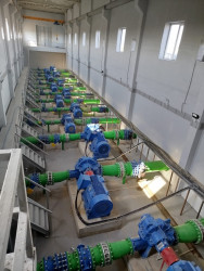 Ağcabədi rayonunda kənd təsərrüfatının inkişafı istiqamətində işlər davam etdirilir