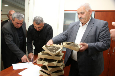 Ağcabədidə barama tədarükünə start verildi