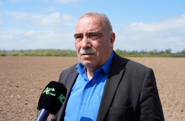 Ağcabədi rayonunda çiyid səpini işlərinə start verildi.