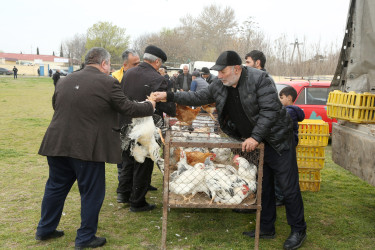 Ağcabədidə Novruz bayramı münasibətilə kənd təsərrüfatı məhsullarının satış yarmarkası təşkil olunub