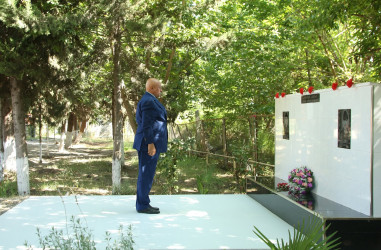 Ağcabədi Rayon İcra Hakimiyyətinin başçısı Rafil Hüseynovun Ağabəyli kəndində səyyar qəbul-görüşü keçirilmişdir.