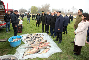 Ağcabədidə Novruz bayramı münasibətilə kənd təsərrüfatı məhsullarının satış yarmarkası təşkil olunub