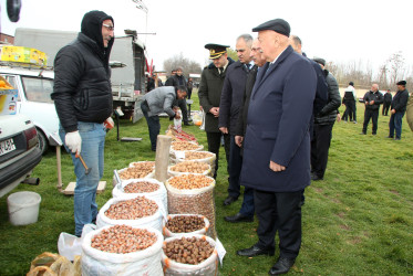 Ağcabədidə Novruz bayramı münasibətilə kənd təsərrüfatı məhsullarının satış yarmarkası təşkil olunub