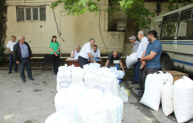 İyunun 5-dən Ağcabədidə yaş barama təhvilinə start verilib.