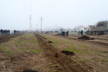 Ağcabədidə “Şəhərsalma və Memarlıq İli” çərçivəsində ağacəkmə aksiyası keçirilib.
