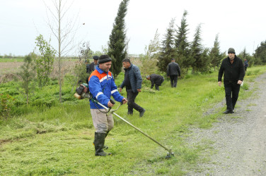 Ağcabədidə “Şəhərsalma və Memarlıq İli” çərçivəsində ağacəkmə aksiyası davam edir.