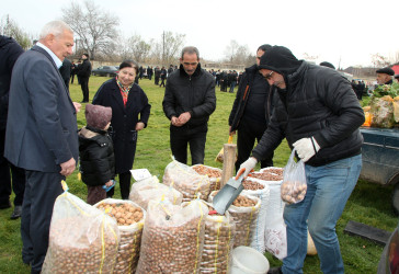 Ağcabədidə Novruz bayramı münasibətilə kənd təsərrüfatı məhsullarının satış yarmarkası təşkil olunub