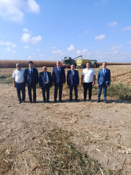 Ağcabədi rayonunda kənd təsərrüfatının inkişafı istiqamətində işlər davam etdirilir