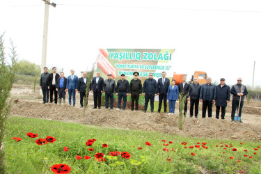 Ağcabədidə ağacəkmə aksiyası  bu həftə də davam etdirildi