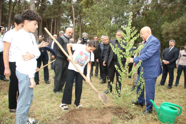 Ağcabədidə “Anım Günü” qeyd olundu