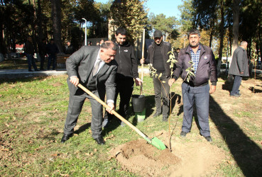 Ağcabədidə 8 Noyabr - Zəfər günü təntənə ilə qeyd olundu