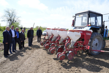 Ağcabədi rayonunda çiyid səpini işlərinə start verildi.