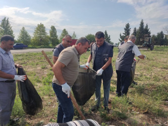 “Yaşıl dünya naminə həmrəylik İli” münasibətilə iməcilik keçirilib.