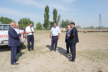 Ağcabədidə heyvandarlıq təsərrüfatına baxış keçirilib