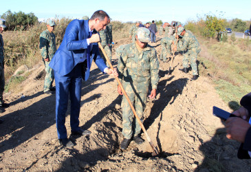 “Yaşıl dünya naminə həmrəylik ili” çəçivəsində minlərlə yeni ağac əkilib.