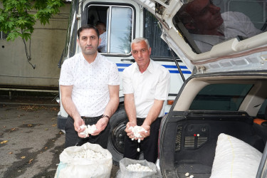 Ağcabədi rayonunda 2026-cı il barama təhvilvermə mövsümünə start verilib