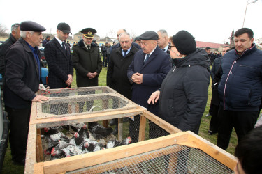 Ağcabədidə Novruz bayramı münasibətilə kənd təsərrüfatı məhsullarının satış yarmarkası təşkil olunub