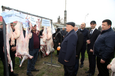 Ağcabədidə Novruz bayramı münasibətilə kənd təsərrüfatı məhsullarının satış yarmarkası təşkil olunub