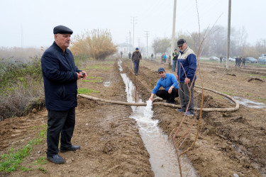 Ağcabədidə “Şəhərsalma və Memarlıq İli” çərçivəsində ağacəkmə aksiyası keçirilib.