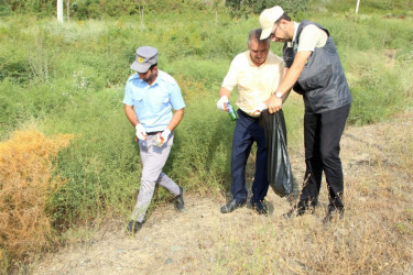 Ağcabədidə  “Təmiz ölkəm” adlı növbəti ekoloji aksiya keçirilib.